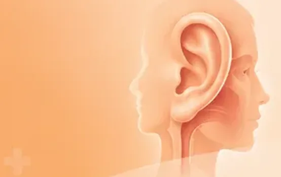 Illustration of the ear and head