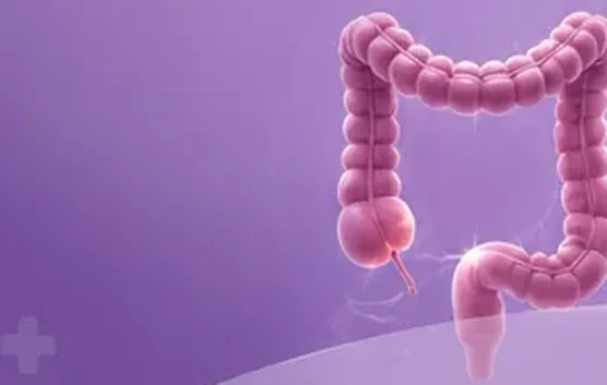 Illustration of the large intestine